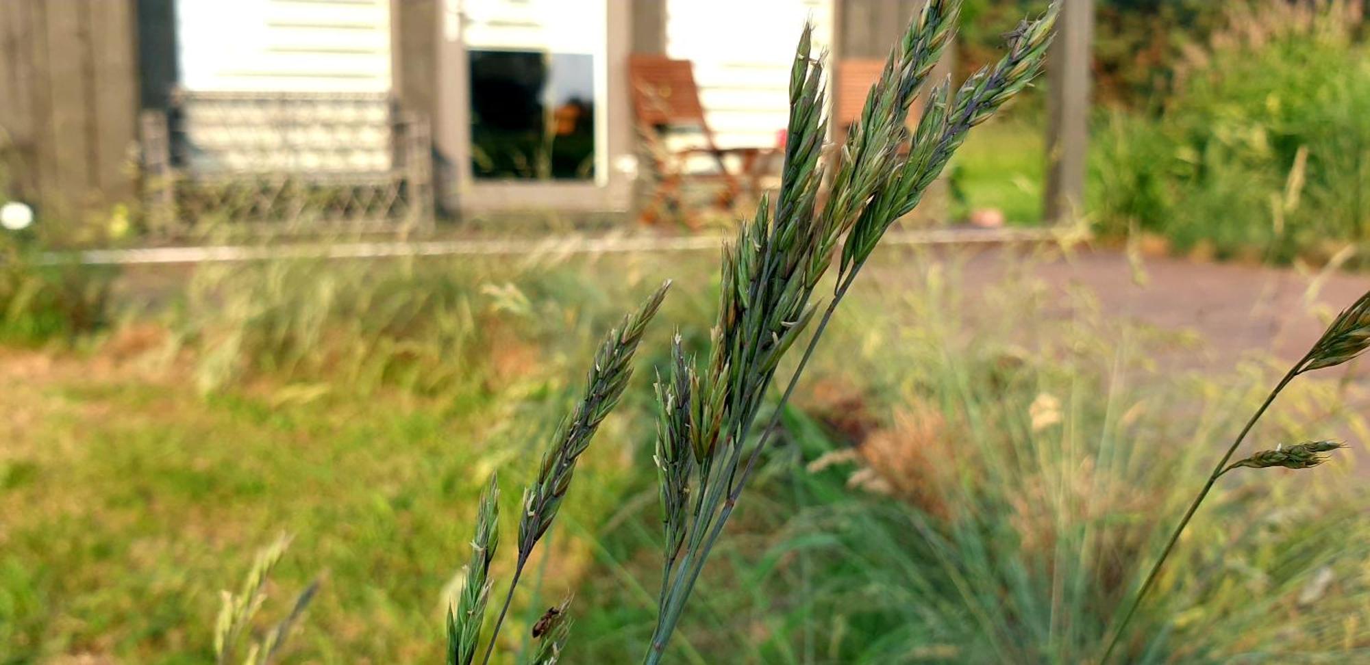 Anna'S Home Jurmalciems Exterior foto